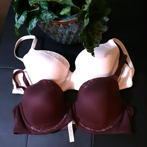 Pair of 38C bras - Picture 1 of 6